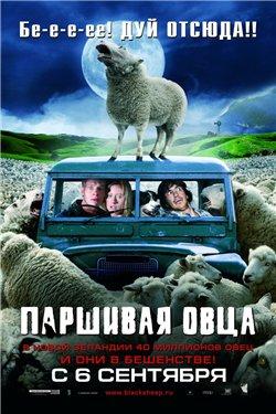 ׸  / Black Sheep (2007)