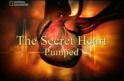   .   / The Secret Heart. Pumped (2008)