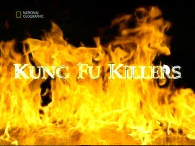 Кунг-Фу – Мастерство убийства / Kung Fu Killers (2006)